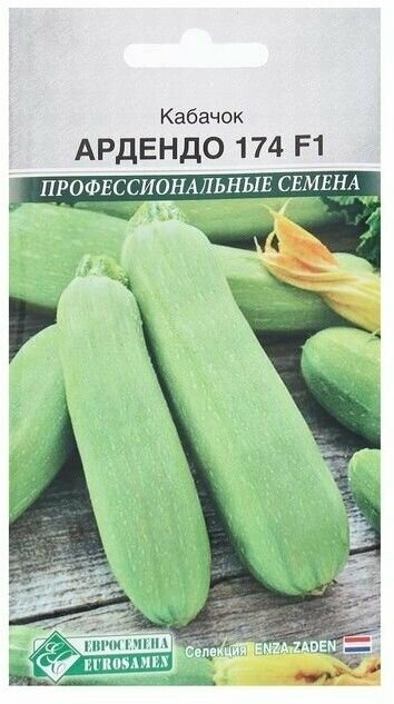 Семена Кабачок Ардендо 174 F1, 3 шт — купить в интернет-магазине по низкойцене на Яндекс Маркете