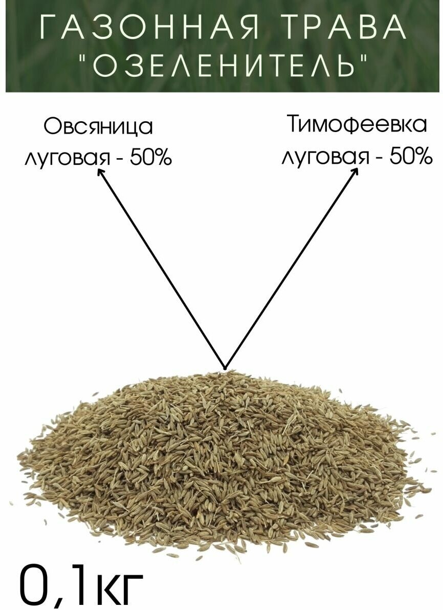 Газонная Трава "Озеленитель" 100 гр.