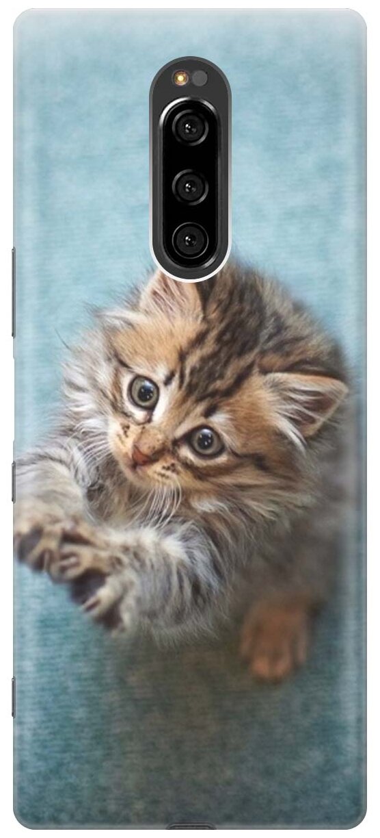 RE: PA Накладка Transparent для Sony Xperia 1 / XZ4 с принтом "Котёнок на голубом"
