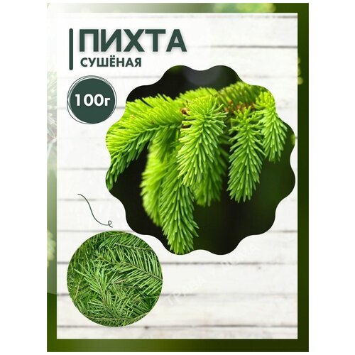 Иголки (хвоя) пихты 100 грамм (Пихта )