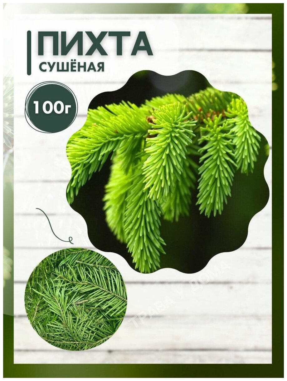 Иголки (хвоя) пихты 100 грамм (Пихта )