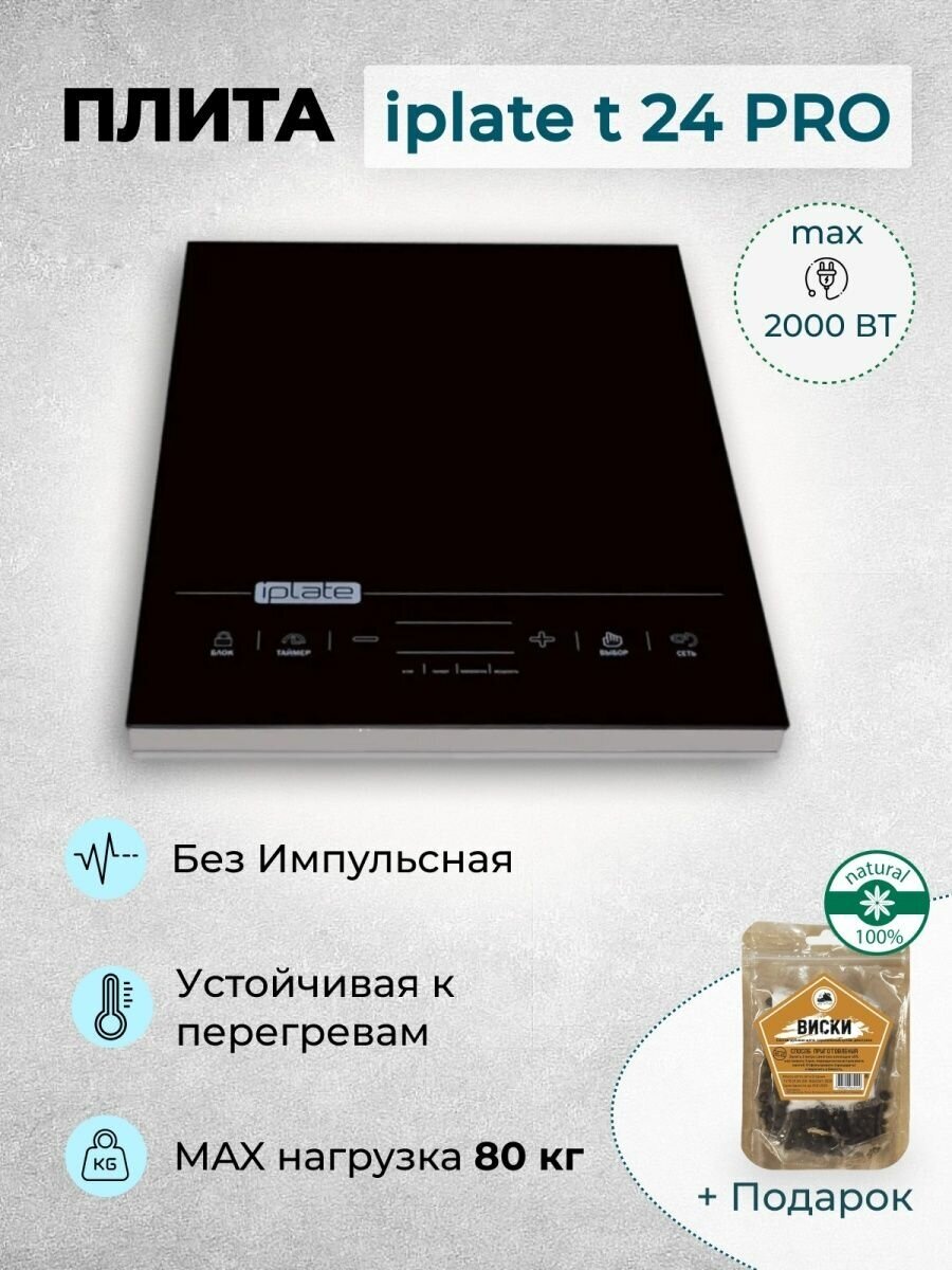 Плита индукционная iPlate YZ-T24 PRO черный + набор для настаивания