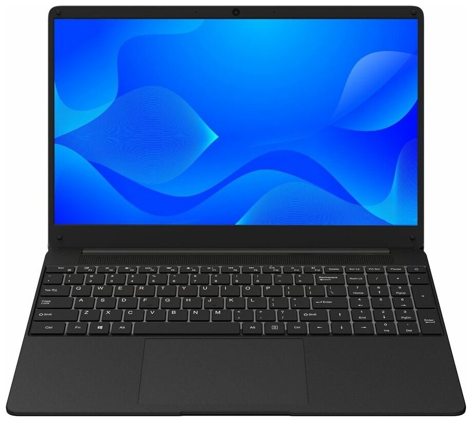 Ноутбук Hiper WORKBOOK MTL1585W Win 10 Pro black (MTL1585W1115W1)