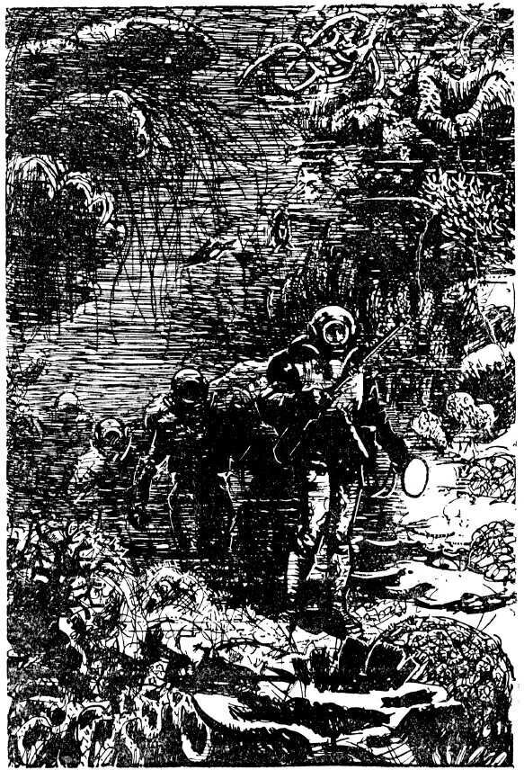 Книга 20 000 лье под водой (Жюль Верн) - фото №17