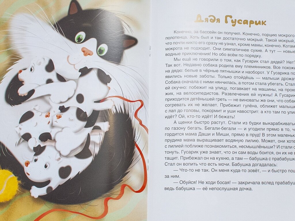 Приключения семейного кота Гусарика - фото №15