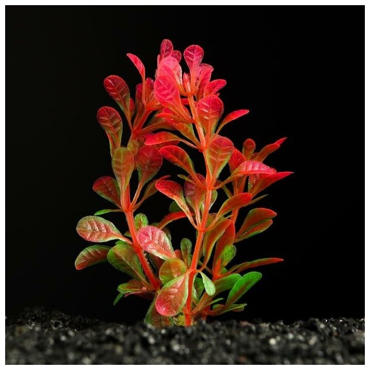 Растение искусственное аквариумное, 3 х 9 см, оранжево-зелёное - фотография № 1