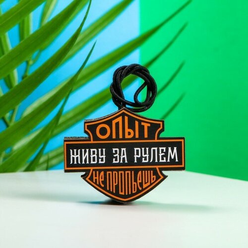 Подвеска автомобильная Опыт не пропьeшь, дерево, войлок