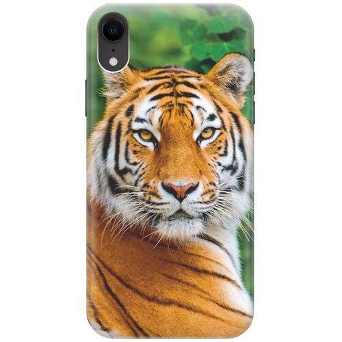 фото Re:paчехол - накладка artcolor для apple iphone xr с принтом "портрет тигра"
