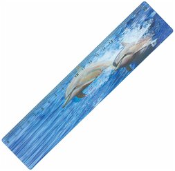 BRAUBERG Линейка Дельфины 3D 20 см (210571), синий/голубой