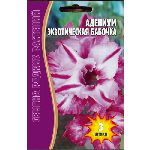 Редкие растения Адениум Экзотическая бабочка (3шт семян) редкие растения адениум черное болото 3 семян в упаковке