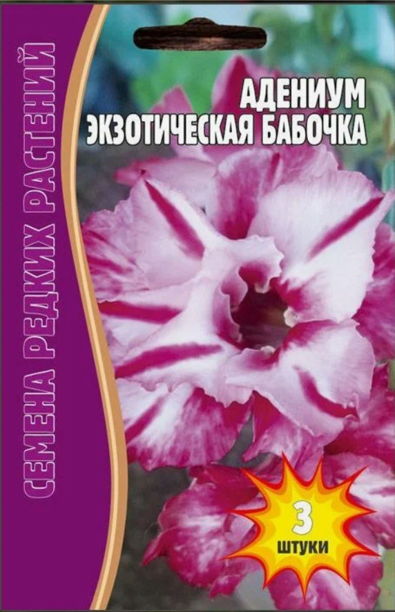 Редкие растения Адениум Экзотическая бабочка (3шт семян)