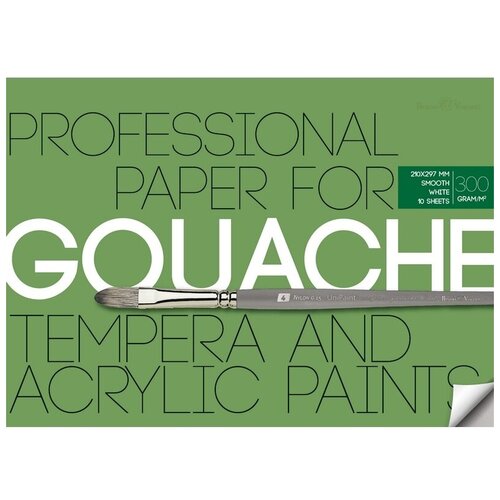 Бумага для акрила, гуаши и темперы Bruno Visconti А4, 10 листов, блок 300 гр, в папке (4-120)