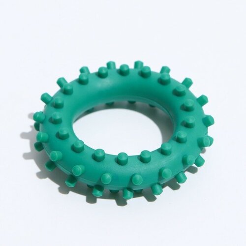 игрушка кольцо с шипами 6 15 5 см синяя зооник Игрушка для собак зооник Кольцо с шипами №1, 6,1 см, зеленая (СИ80-6)