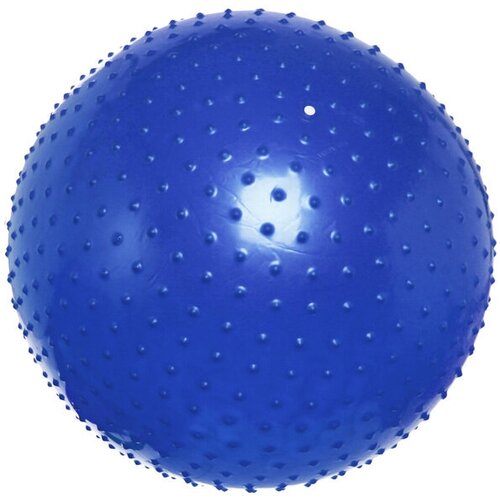 детский массажный гимнастический мяч синий Мяч гимнастический Sportage 75 см массажный 1000гр