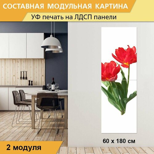 Модульная картина 