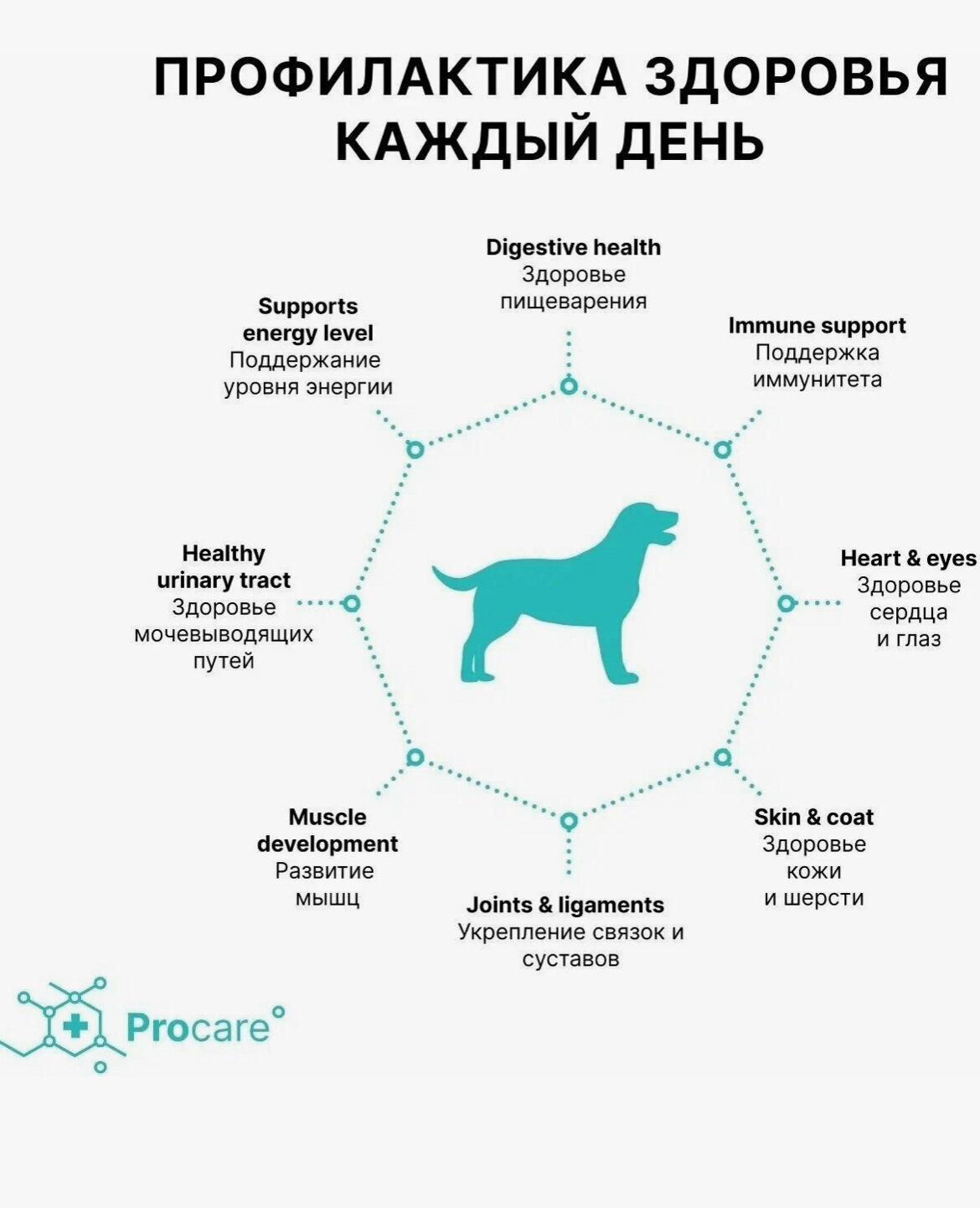 PREMIER Dog Maxi Adult Lamb&Turkey Корм сух.ягненок,индейка д/собак крупных пород 10кг - фото №9