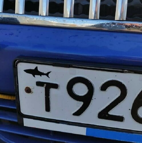 Изображение товара Наклейка на гос номер "Акула"