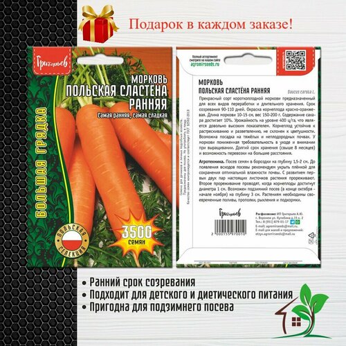 Морковь Польская сластёна Ранняя (2 упаковки)