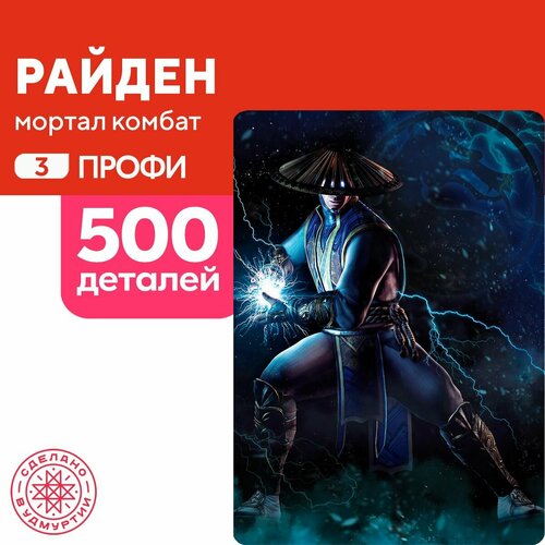 Пазл Райден 500 деталей Профи