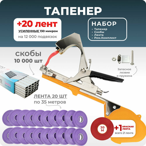 фиолетовый, черный, оранжевый