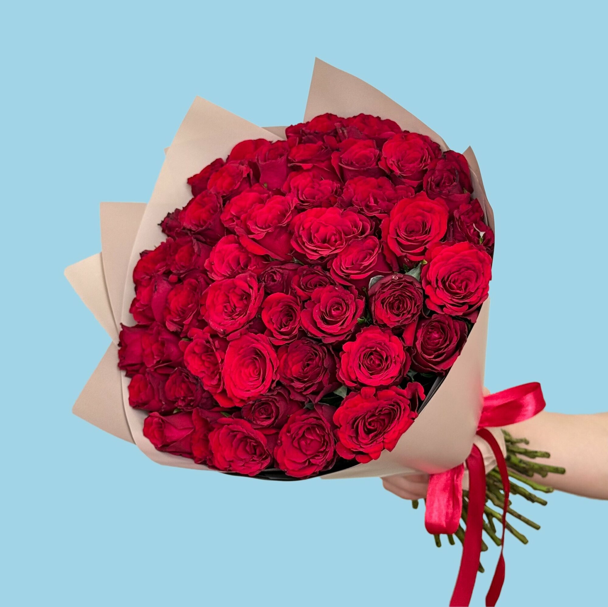 Букет живых цветов из 51 красной розы 35 см в упаковке с доставкой