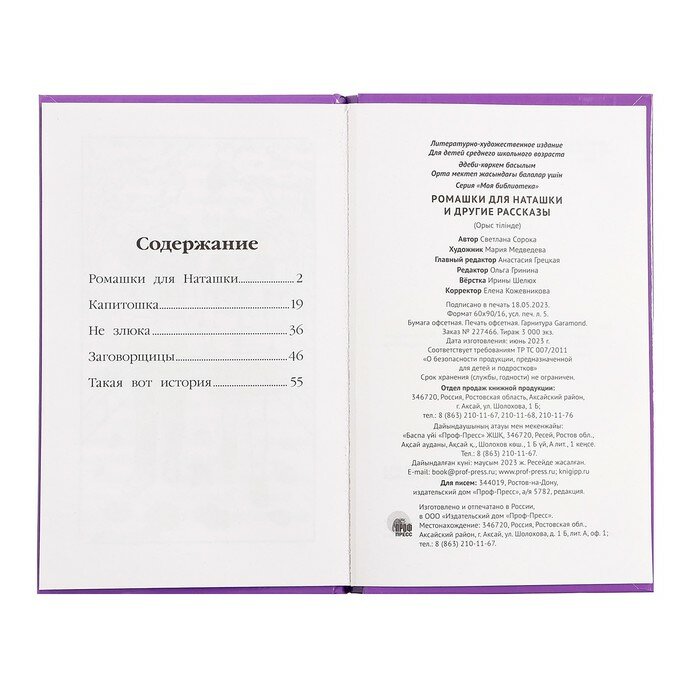 Ромашки для Наташки (Сорока Светлана Николаевна) - фото №14