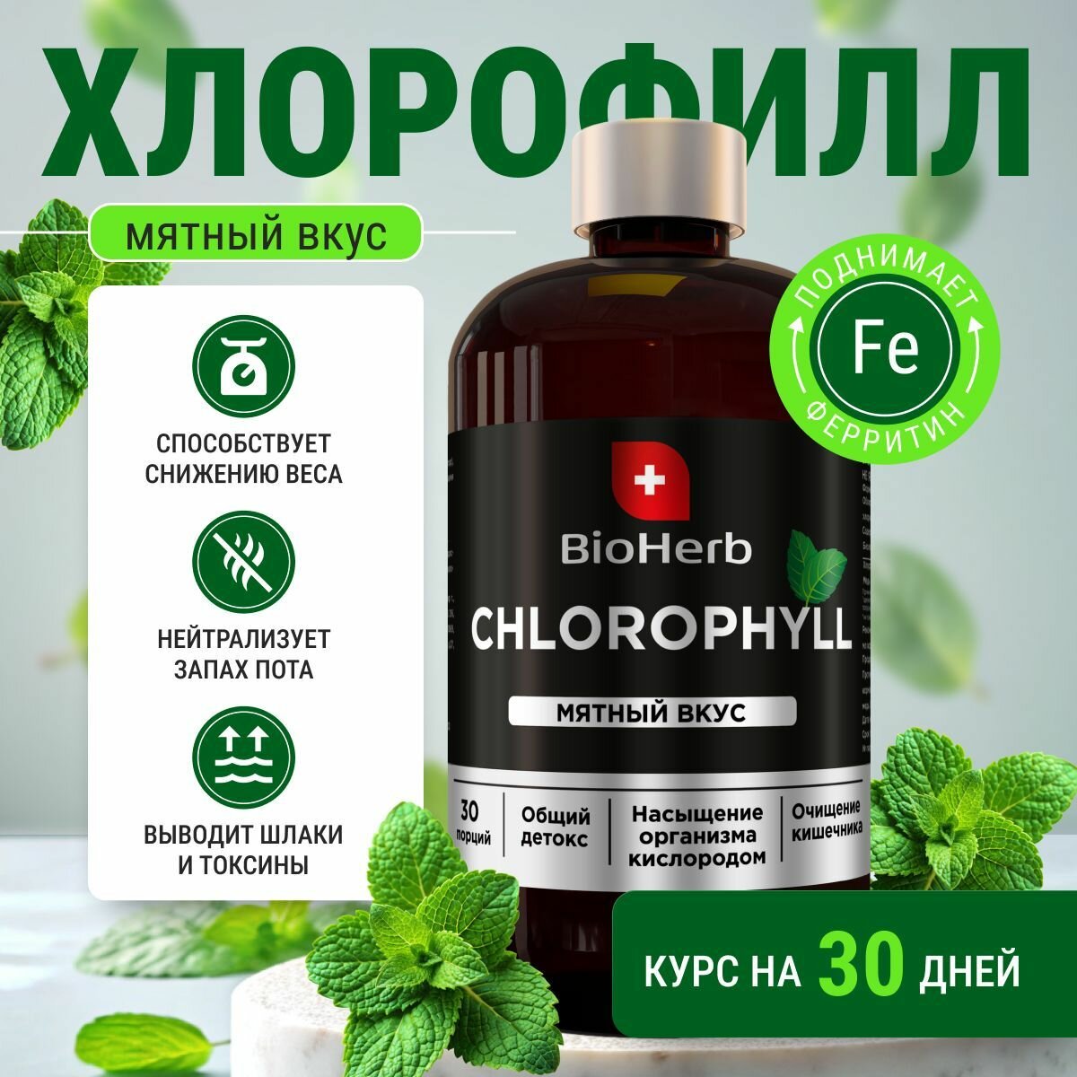 BioHerb БАД Хлорофилл жидкий со вкусом мяты, 30 порций, 500 мл