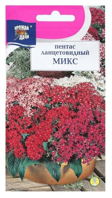 Семена цветов ТероПром 9338618 Пентас ланцетовидный "Микс F1" 3 шт. в амп.