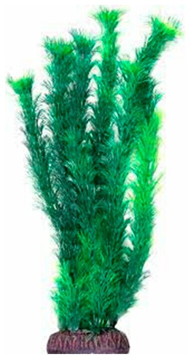 Растение для аквариума Амбулия зеленая, 300мм, Laguna, 2 шт.