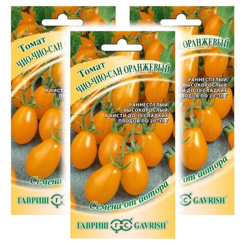Комплект семян Томат Чио-чио-сан оранжевый - Семена от автора х 3 шт. комплект семян томат чио чио сан оранжевый семена от автора х 3 шт