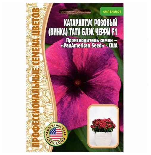 Семена Катарантуса розового (Винка) Тату Блэк черри F1 (5 семян)