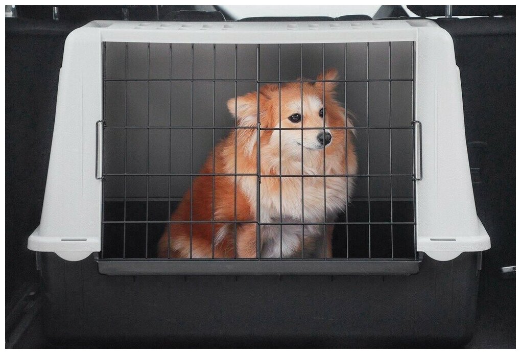 Контейнер FERPLAST ATLAS CAR MINI для перевозки собак в автомобиле 72х41х51 см (1 шт) - фотография № 14