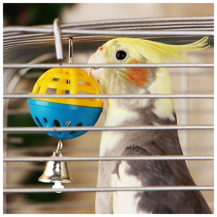 Игрушка для попугая "Забава" с 1 шариком, микс - фотография № 3