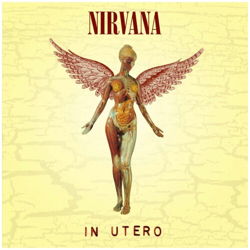 Виниловые пластинки. Виниловая пластинка. Nirvana. In Utero (LP)