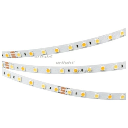 025213 Светодиодная Лента RT 6-5000 24V White-MIX 2x (5060, 60 LED/m, LUX) (Arlight, Изменяемая ЦТ)