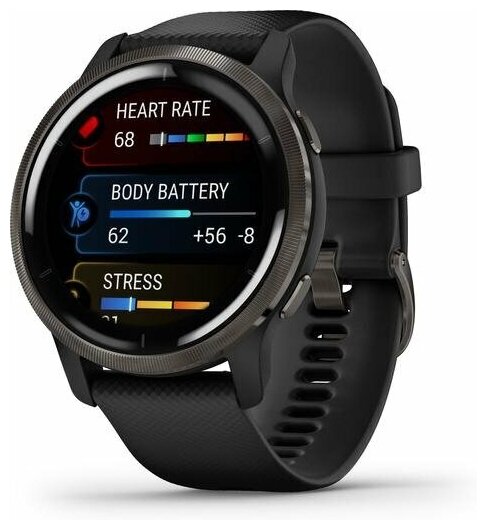 Умные часы Garmin VENU 2 Black