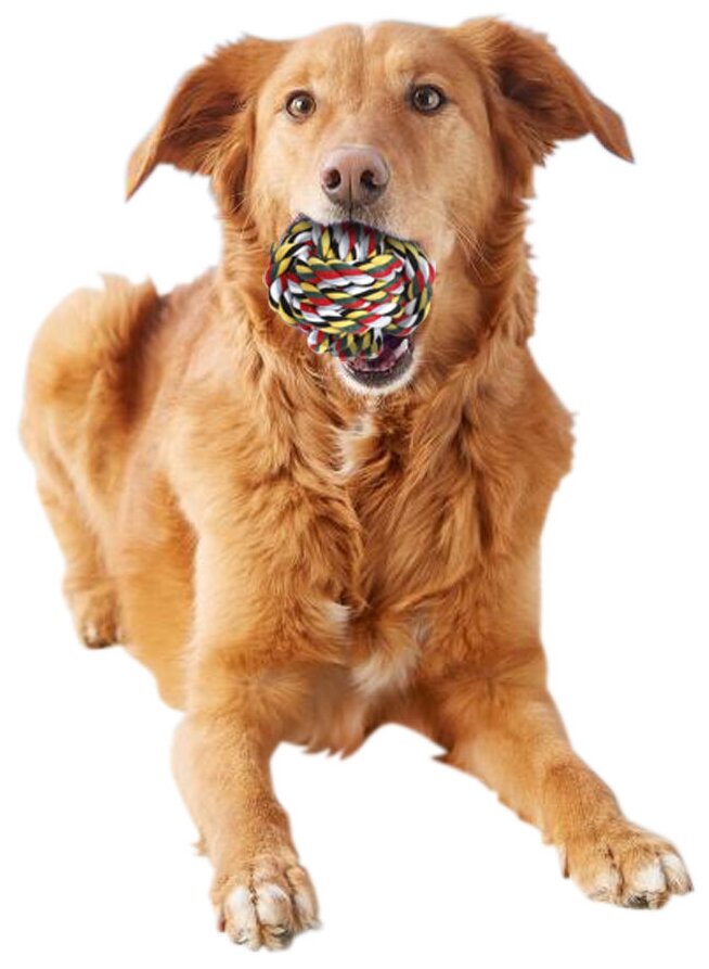 Игрушка для собак Плетёный мяч Pet Universe. Жевательная игрушка для зубов для щенков и взрослых, для средних и крупных собак / диаметр 7 см/ PU6006PL - фотография № 5