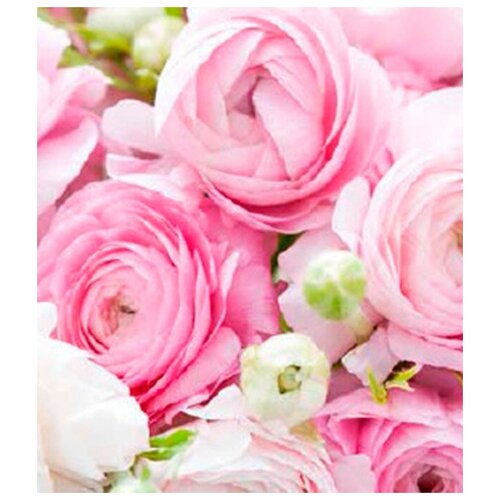 Фотообои Ateliero Розовый букет 21-8016 2х13 м 759₽