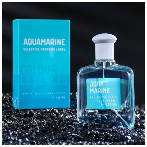 Туалетная вода мужская Colour ssncs Aquamarin, 100 мл (по мотивам Acqua Di Gio (G.Armani)