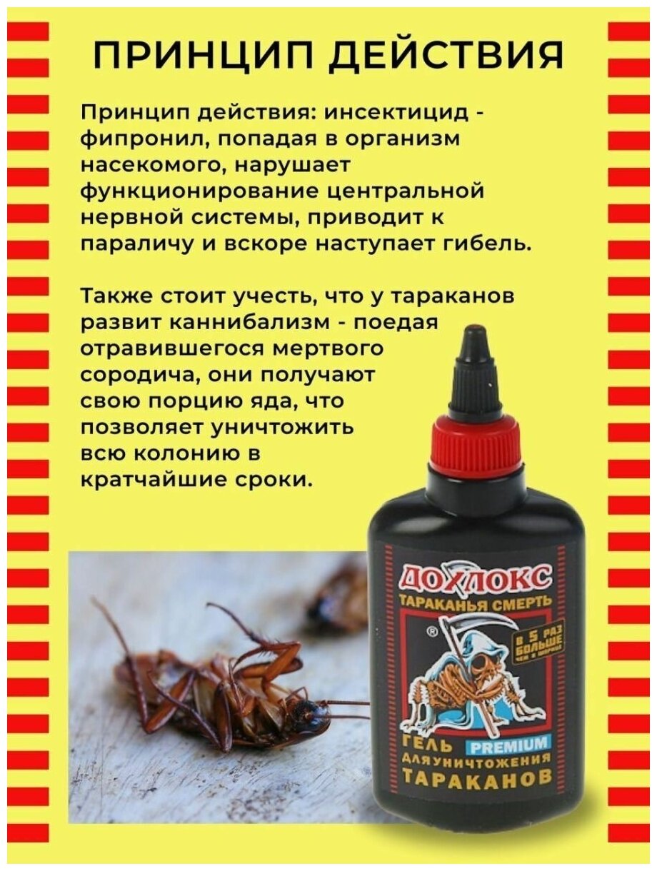 Гель от тараканов и муравьев Дохлокс Premium 100 мл - фотография № 8