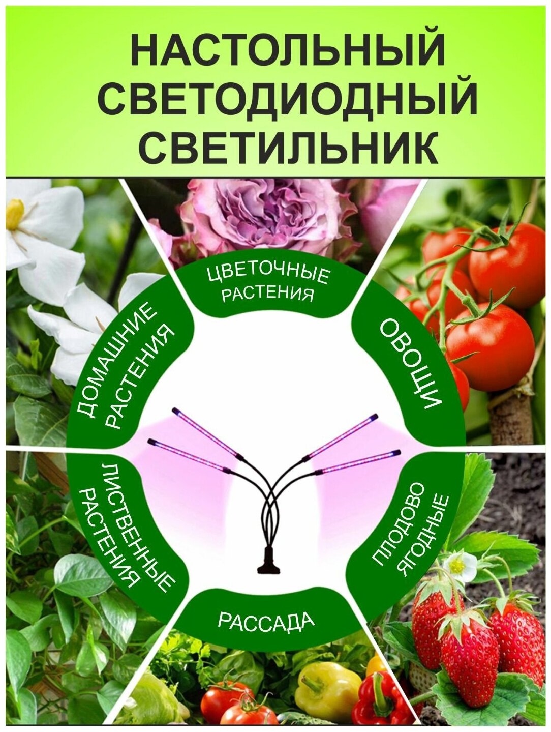 Фитолампа для растений лампа для рассады полный спектр Фитолампа на прищепке 2 луча - фотография № 5