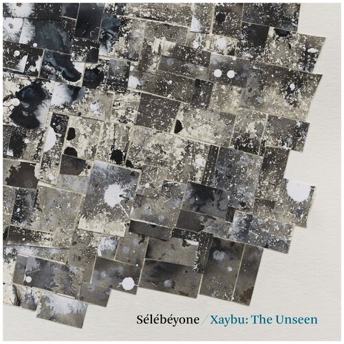 Виниловая пластинка Steve Lehman  & Selebeyone. Xaybu: The Unseen (LP)