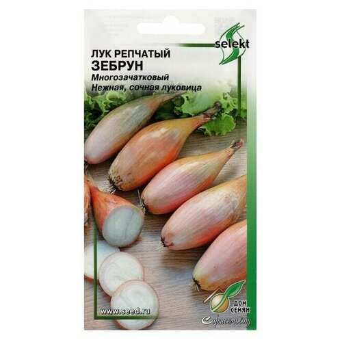 Семена Лук репчатый Зебрун, 70 шт 10 упаковок