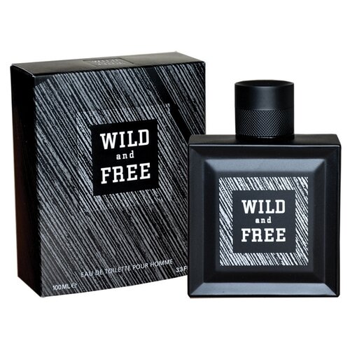 TODAY PARFUM (Delta parfum) Туалетная вода мужская WILD AND FREE