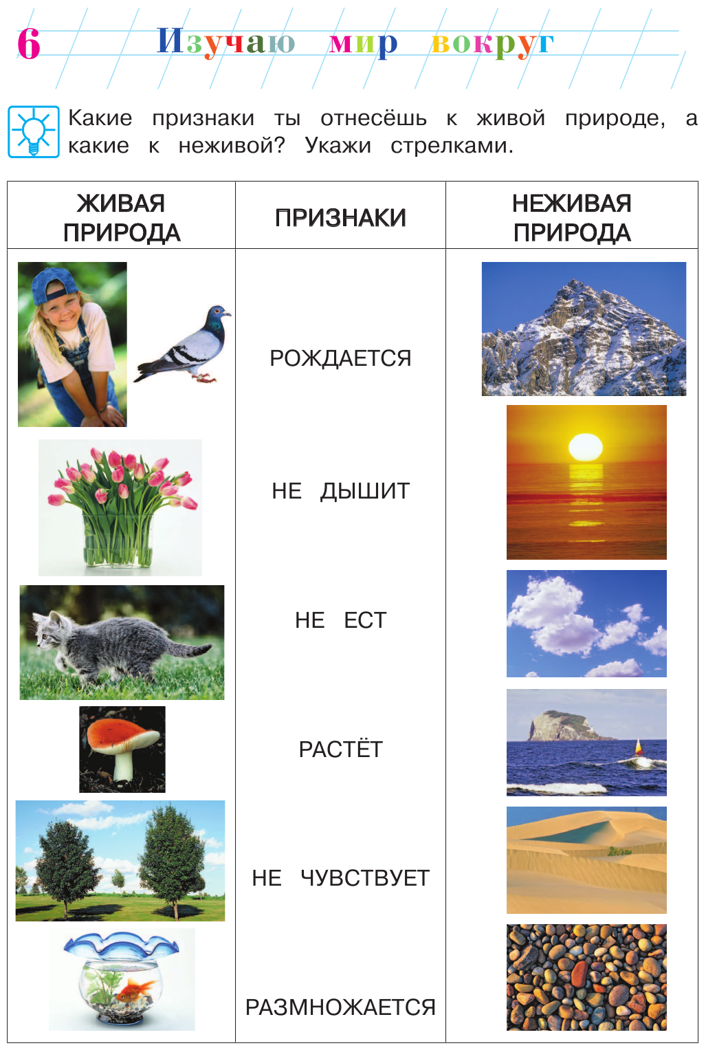 Изучаю мир вокруг: для детей 6-7 лет. В 2 частях. Часть 1. - фото №8