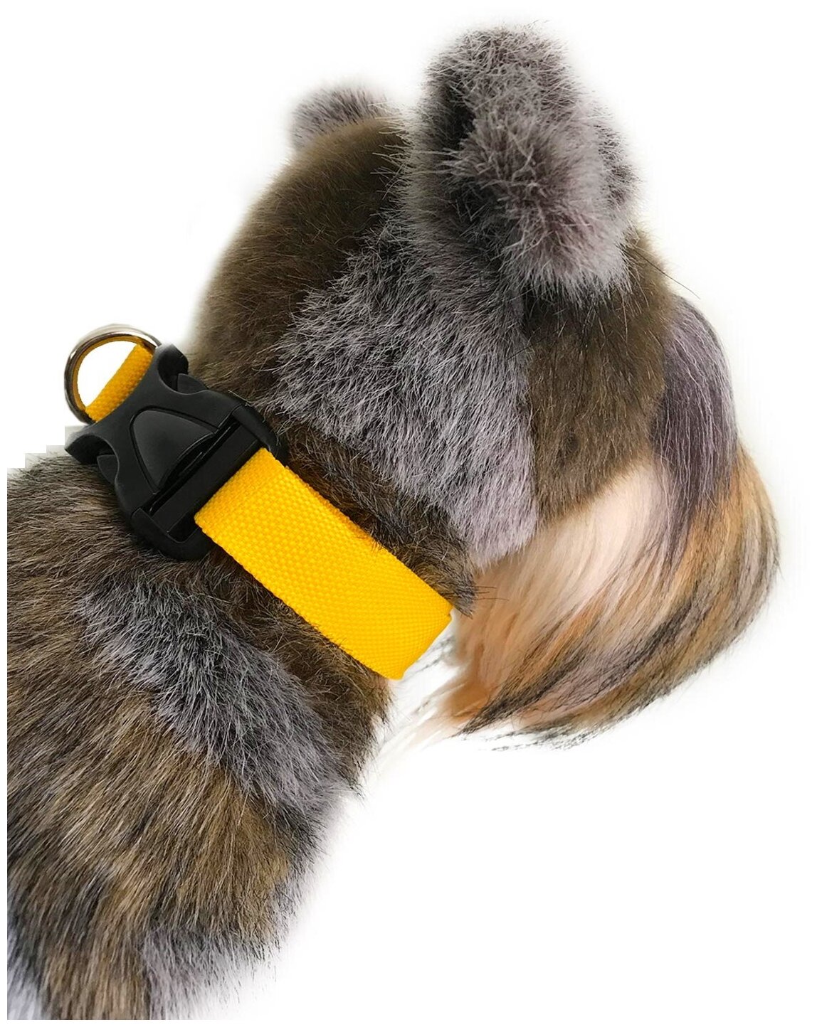 Ошейник для собак Petsare ширина 20 мм, обхват шеи 30-50 см, желтый - фотография № 2