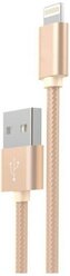 Кабель USB - Apple lightning Hoco X2 Rapid, 100 см, Золотой