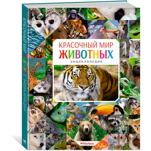 Книга Красочный мир животных