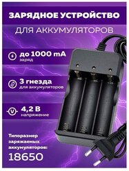 Зарядное устройство для 18650 аккумуляторов батареек OT-APZ10 Орбита