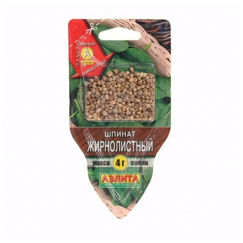 Семена Шпинат Жирнолистный, сеялка, 4 г в комлпекте 5, упаковок(-ка/ки)